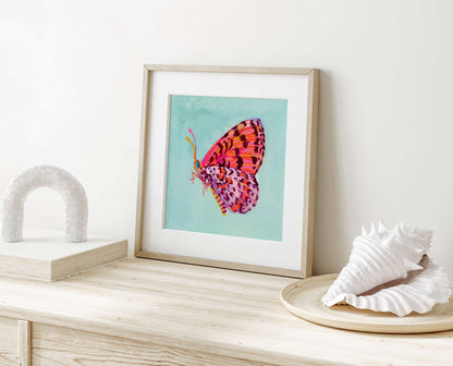 Framed artwork of a colorful butterfly on a light wooden surface with decorative shells.