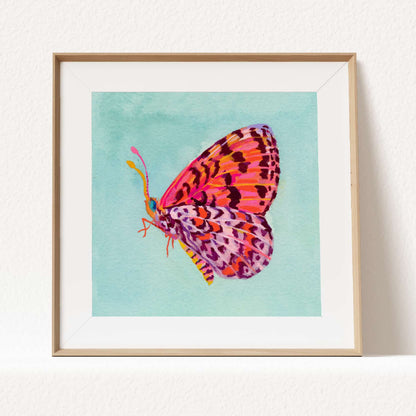 Framed artwork of a colorful butterfly on a light blue background