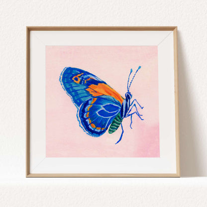 Framed artwork of a colorful butterfly on a pink background
