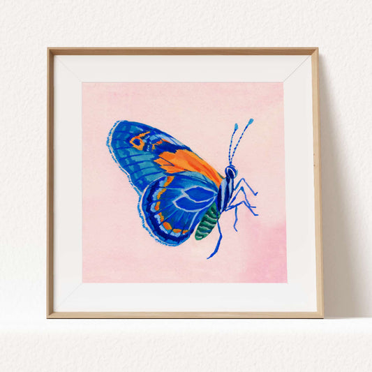 Blue butterfly art print painted in gouache and watercolor on a soft pink background