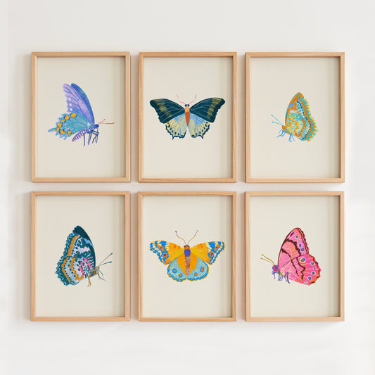 Six framed illustrations of colorful butterflies on a white wall.