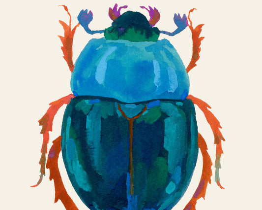 Colorful hand-painted illustration of a beetle by Sun Lee