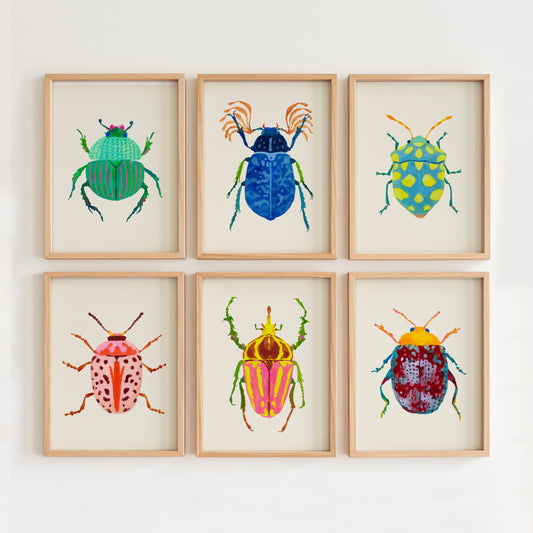 Six framed illustrations of colorful beetles on a white wall.